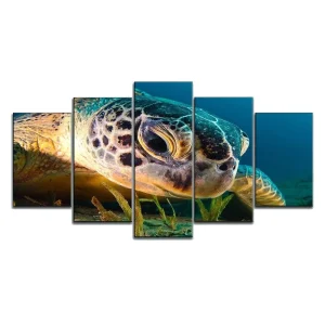 Tableau Tortue - Tête curieuse