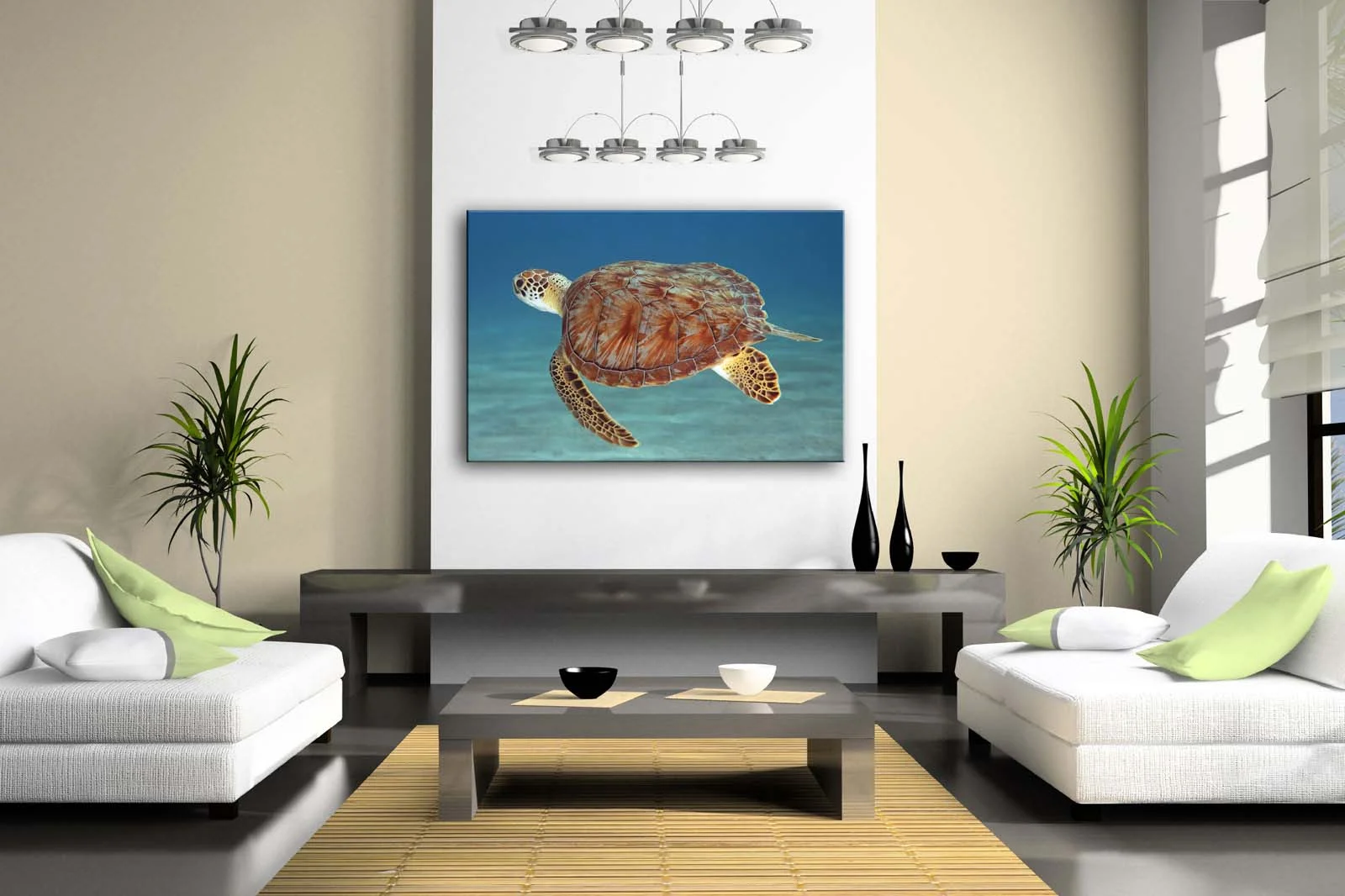 Ambiance du Tableau Tortue - Sérénité