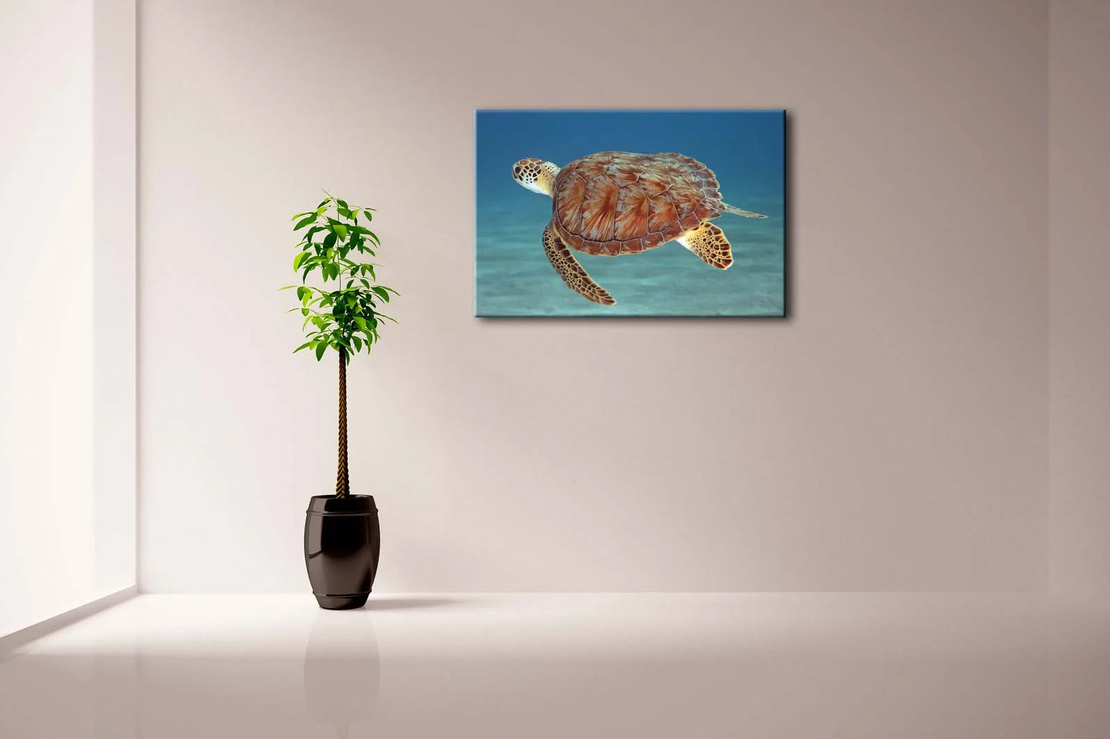 Détails du Tableau Tortue - Sérénité