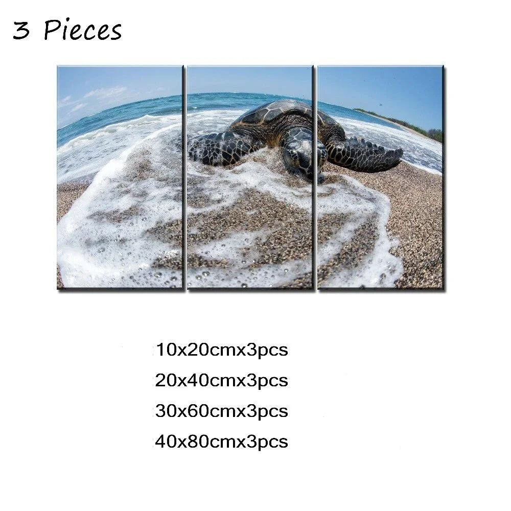 Tableau Tortue - Rivage – Image 5