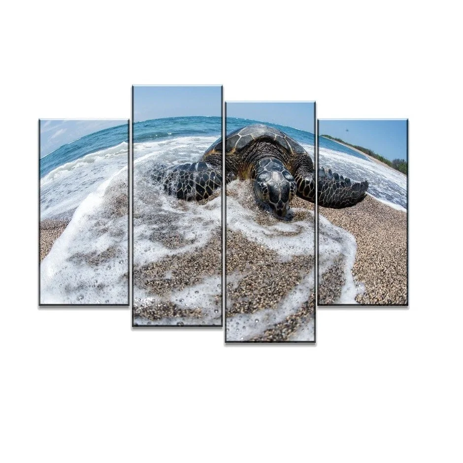Tableau Tortue - Rivage