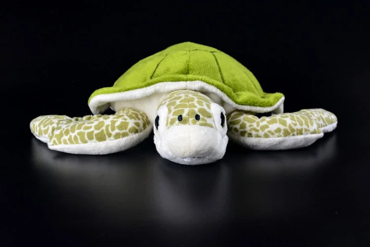 Peluche Tortue Soft vue de près