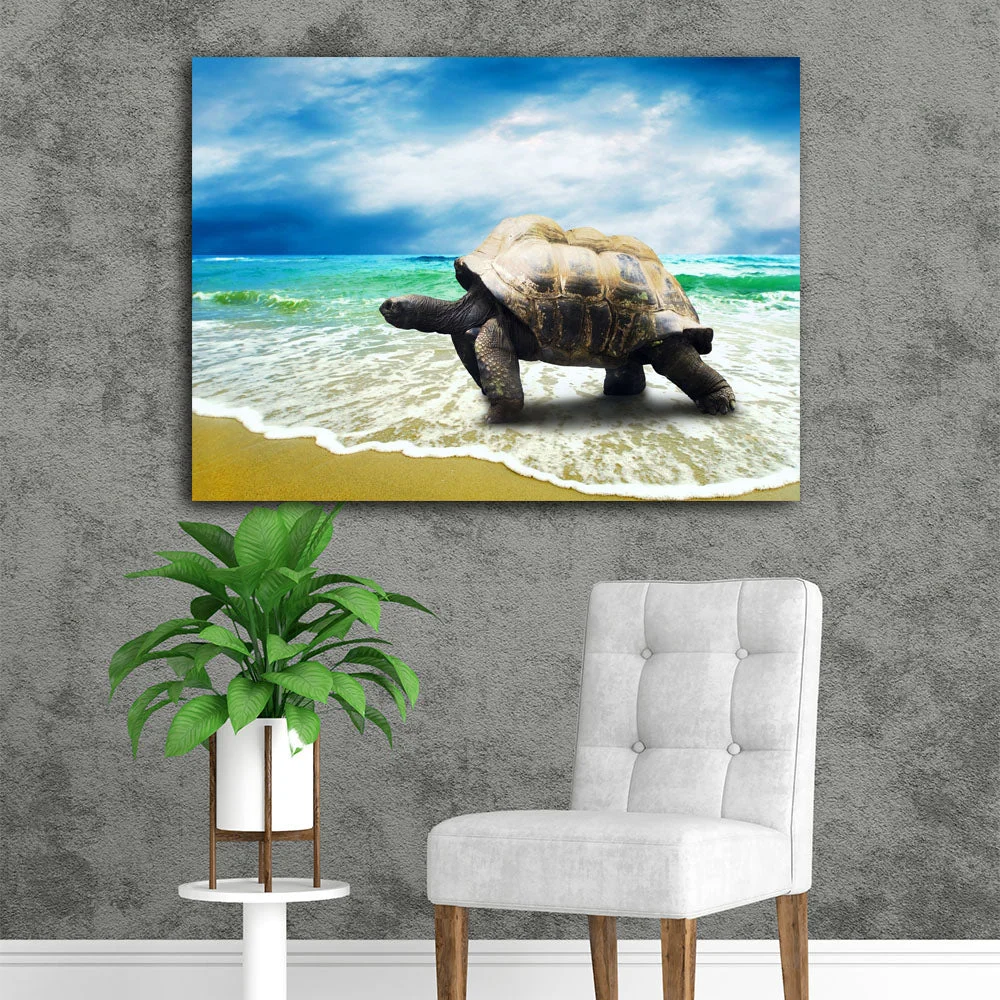Tableau Tortue en Intérieur