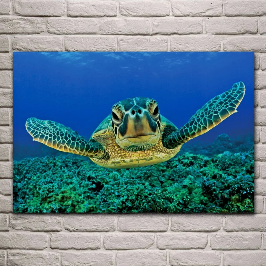 Tableau Tortue La Fonceuse