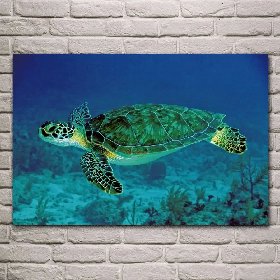 Tableau Tortue Mer Verte