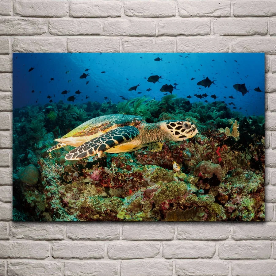 Tableau Tortue Corail