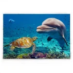 Tableau Tortue - Discussion entre Amis