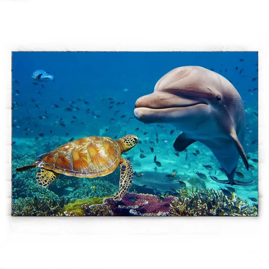 Tableau Tortue