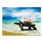 Tableau Tortue - Balade sur la plage