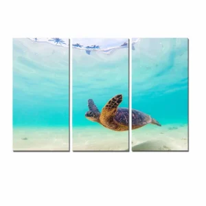 Tableau Tortue - Tortue Paradise